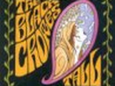 THE LOST CROWES Black Crowes