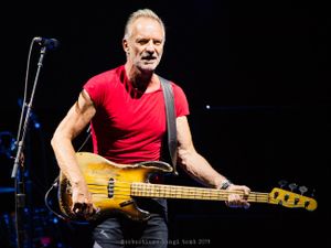 Sting