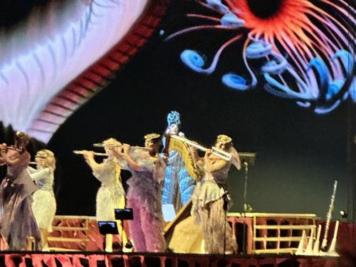 Björk, il nuovo video "Arisen my senses" è su WeTransfer