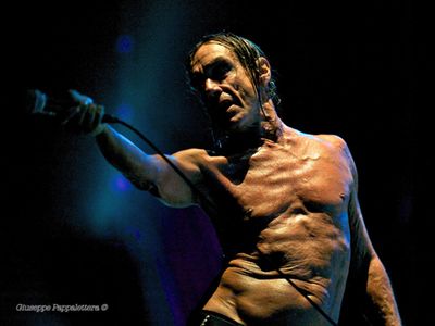 Iggy Pop