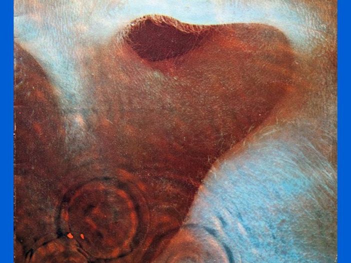 Pink Floyd, i 50 anni di &ldquo;Meddle&rdquo;: la storia di &quot;A pillow of winds&quot;