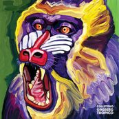 Collettivo Ginsberg - TROPICO
