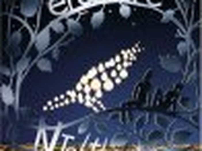 Erasure al lavoro per Madonna 