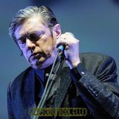 18 luglio 2017 - Flowers Festival - Parco della Certosa Reale - Collegno (To) - Einsturzende Neubauten in concerto