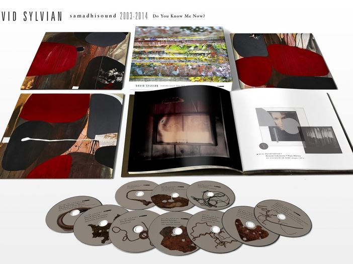 Concerti, David Sylvian: tour annullato per problemi alla schiena