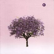 eels - TOMORROW MORNING