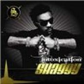 Shaggy - INTOXICATION