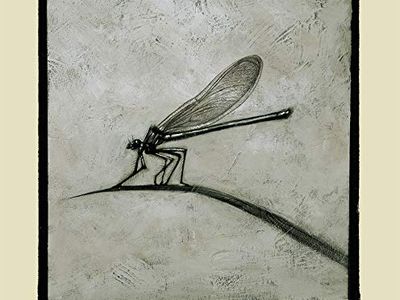 Gianni Maroccolo presenta Al-Kemi Lab, una factory artigianale-digitale