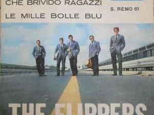 Flippers