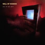 Wall Of Voodoo - CALL OF THE WEST