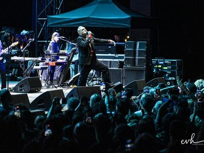 Morrissey di nuovo sotto accusa. &apos;I cinesi? Una sottospecie&apos;