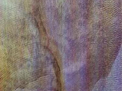 Akron/Family, esce il 14 marzo il nuovo album: ascolta in streaming