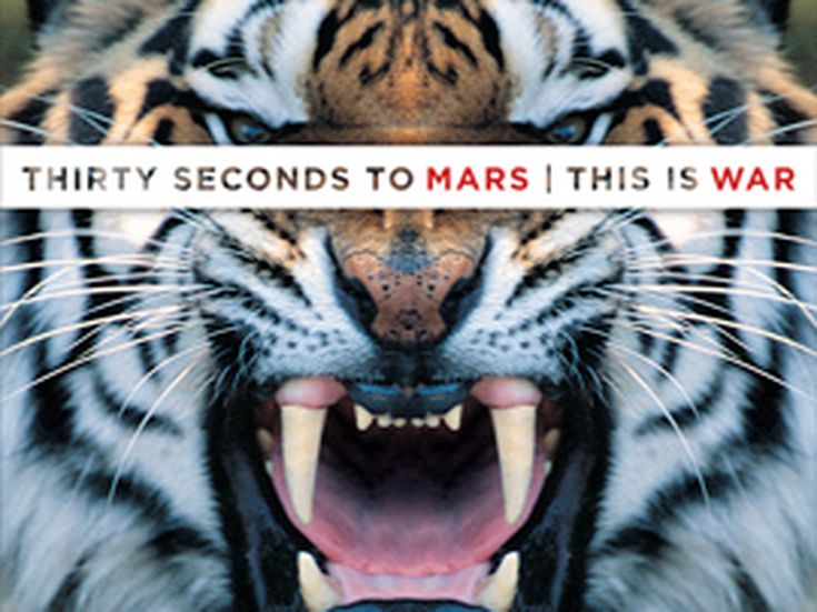 30 Seconds to Mars: le ipotesi di scioglimento &apos;né confermate né smentite&apos;