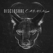 Disclosure - CARACAL