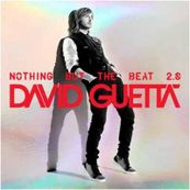 David Guetta - NOTHING BUT THE BEAT 2.0