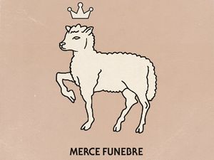 MERCE FUNEBRE Tutti Fenomeni