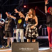 6 luglio 2014 - GruVillage - Grugliasco (To) - Cristina D&#039;Avena in concerto