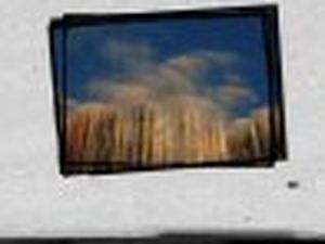 Rock Contest di Controradio: aperto il bando 2011