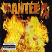 Pantera - REINVENTING THE STEEL