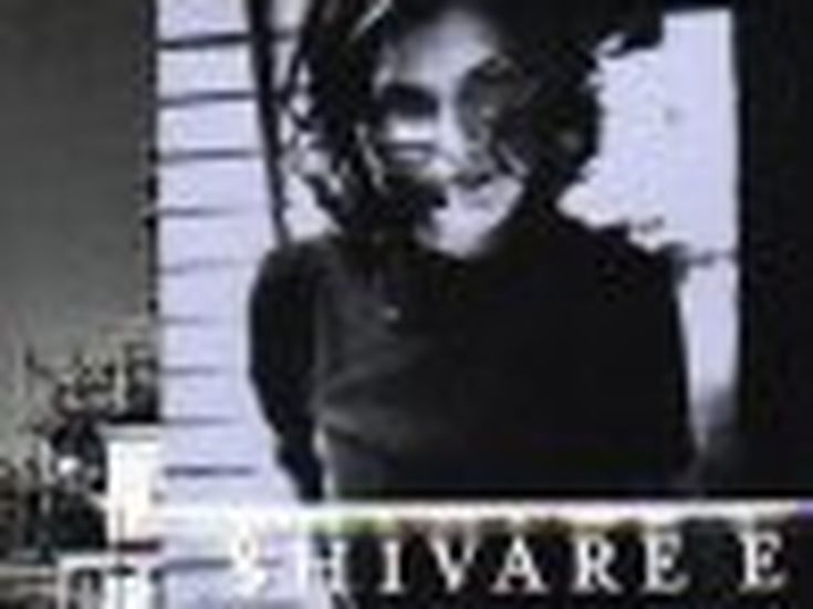 Shivaree: quando la musica diventa pubblicità