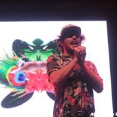 4 settembre 2019 - Piazza della Loggia - Brescia - Pinguini Tattici Nucleari in concerto
