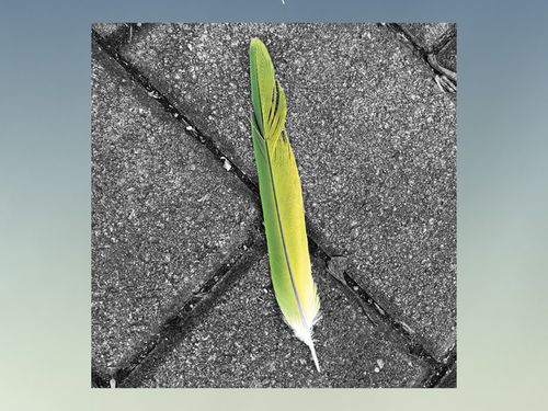 Maxim al Monza Rock Festival, ospite degli Skunk Anansie