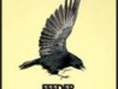 Nuovo singolo dei Feeder, i fan sono invitati a remixarlo