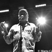 26 luglio 2012 - Rock in Roma - Ippodromo delle Capannelle - Roma - Beach Boys in concerto