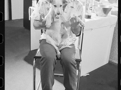 Brian May