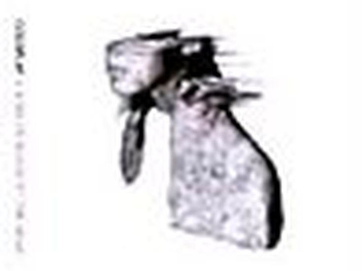 A RUSH OF BLOOD TO THE HEAD Coldplay