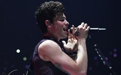 24 marzo 2019 - PalaAlpitour - Torino - Shawn Mendes in concerto