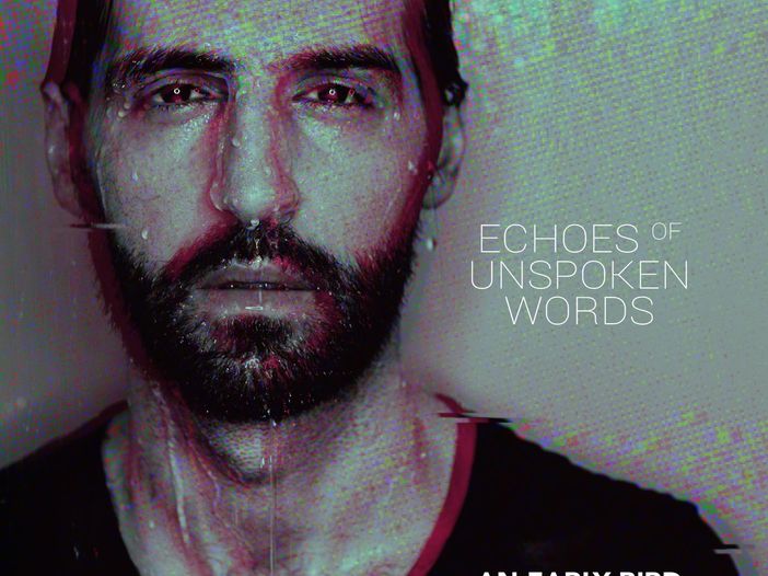 Il "modern alt. folk" di An Early Bird Il "modern alt. folk" di An Early Bird