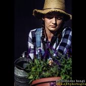 16 luglio 2016 - Lucca Summer Festival - Piazza Napoleone - Lucca - Neil Young in concerto 16 luglio 2016 - Lucca Summer Festival - Piazza Napoleone - Lucca - Neil Young in concerto