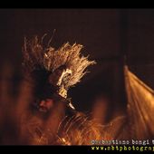 13 luglio 2016 - Lucca Summer Festival - Piazza Napoleone - Lucca - Vinicio Capossela in concerto