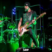 15 novembre 2019 - Estragon - Bologna - Piero Pel&ugrave; in concerto