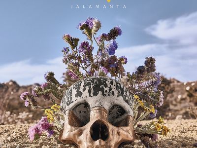 Brant Bjork: prova solista per l'ex-batterista di Kyuss e Fu Manchu