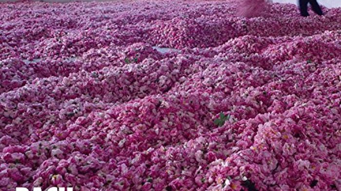 √ Blandine Rannou Rockol