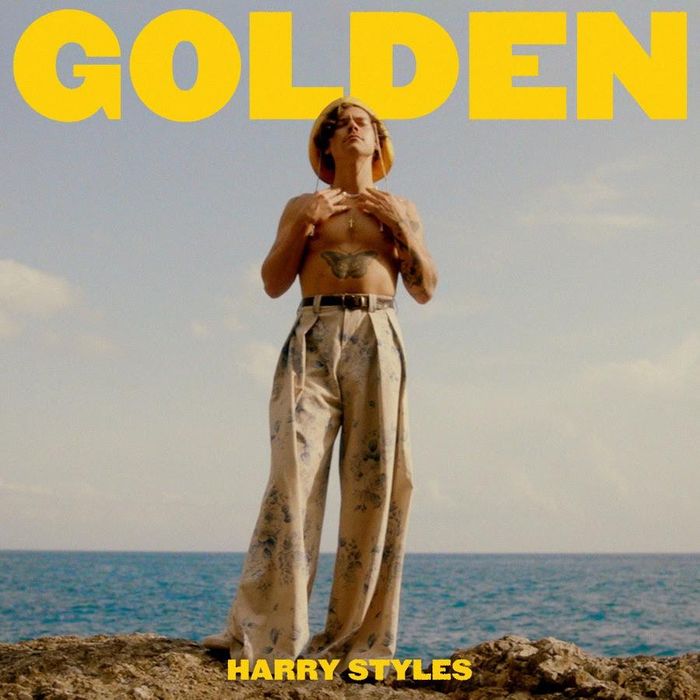 https://images.rockol.it/dMkiSS6xAmtZDbOT207gkyAYtFQ=/700x0/smart/rockol-img/img/foto/upload/harry-styles-golden-video-promo.jpg