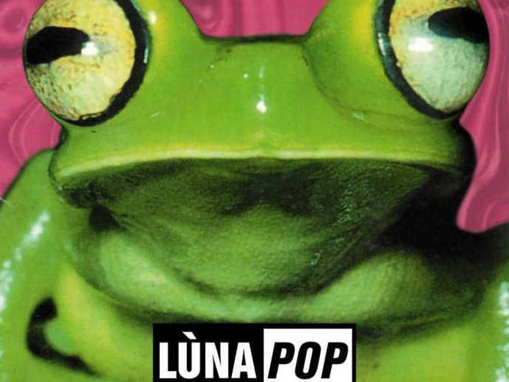 Lunapop Squerez