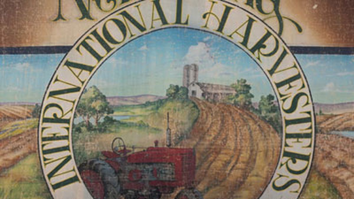 √ Neil Young - A TREASURE - la recensione di Rockol.it