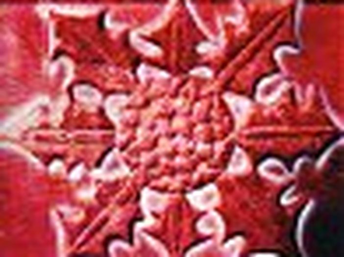 Festival di musica e cultura celtica a Vicenza subito dopo Ferragosto