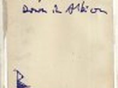 Concerti, Babyshambles: due date in Italia a febbraio 2014 a Milano e Roma