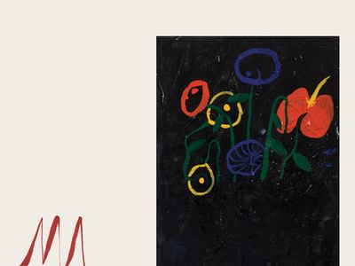 Devendra Banhart: &apos;La mia musica segue il corso naturale della mia vita&apos;