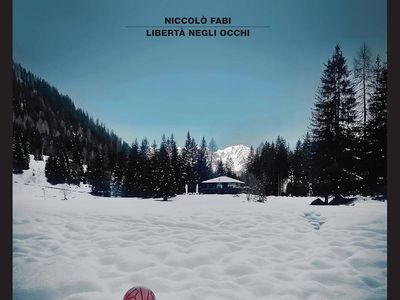 LIBERTÀ NEGLI OCCHI Niccolò Fabi