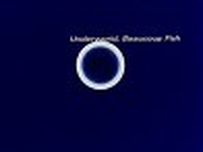 Movement Torino 2011: in arrivo a fine novembre la compilation 