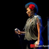 5 luglio 2016 - Blues in Villa - Parco di Villa Varda - Brugnera (Pn) - Incognito in concerto
