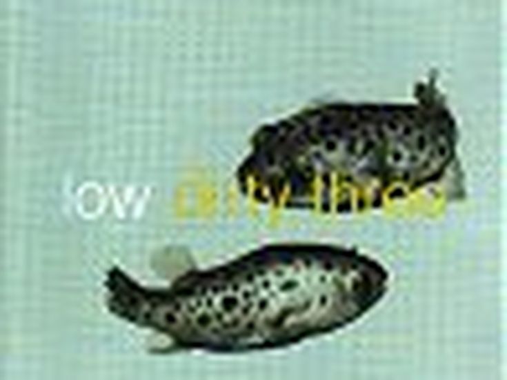 IN THE FISHTANK Low + Dirty Three