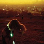 Neon Indian - ERA EXTRANA