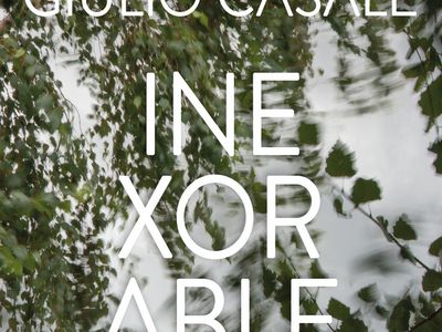 Giulio Casale, c&apos;è il titolo del disco: esce a febbraio &apos;Dalla parte del torto&apos;