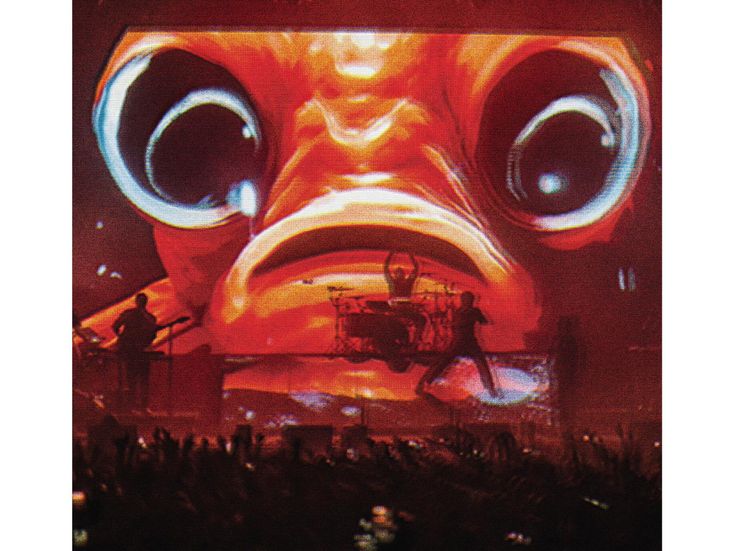 ENTER SHIKARI disco live Wembley
